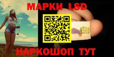 индика Кандалакша