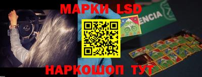 индика Кандалакша