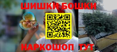 индика Кандалакша