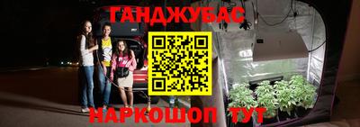 индика Кандалакша