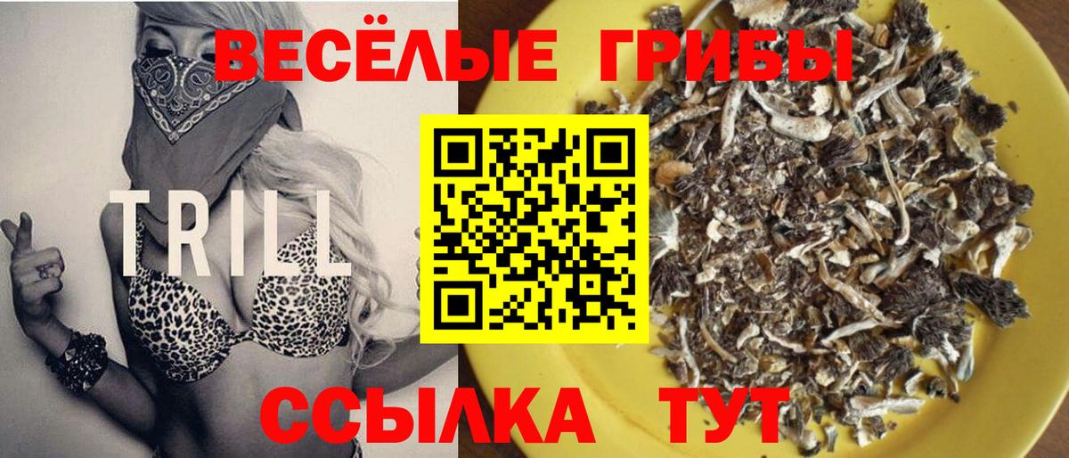 Галлюциногенные грибы мицелий Кызыл