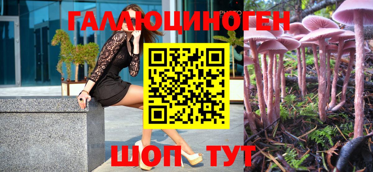Псилоцибиновые грибы Magic Shrooms  Вход с VPN  Кызыл 